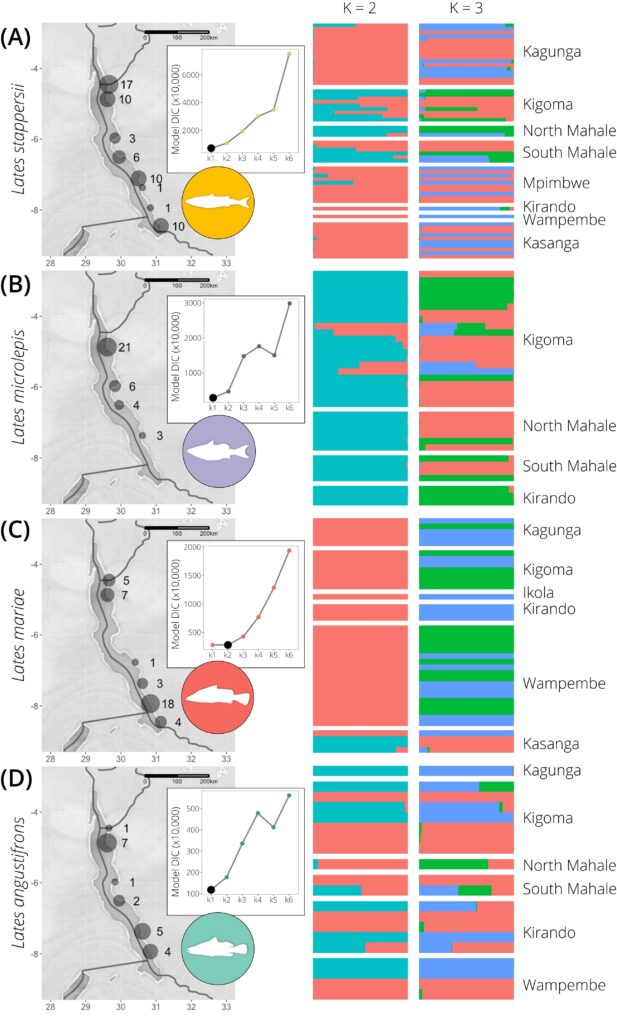 EECG Epilogue: Genomic investigations of big fish in a really big lake ...