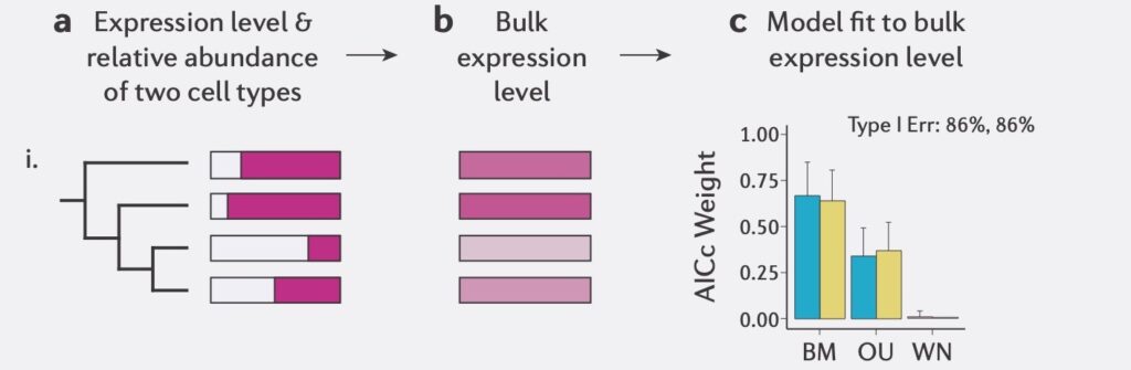 EECG Embarkation: The role of gene expression in avian sexual ...